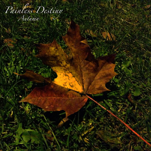 重囗味临盆孕交免费视频播放
